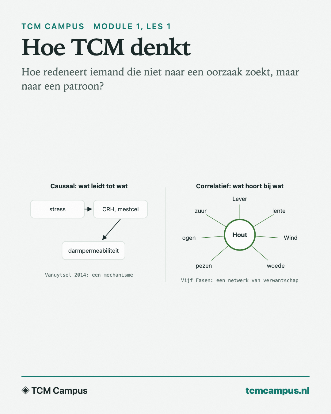 Hoe TCM denkt: Hoe redeneert iemand die niet naar een oorzaak zoekt, maar naar een patroon?
