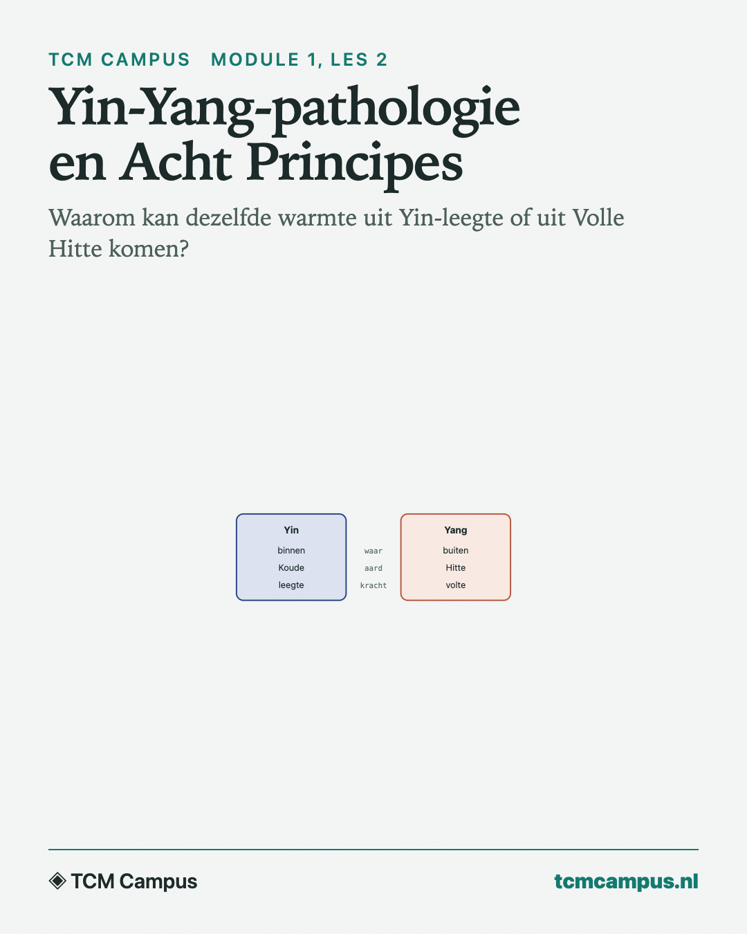 Yin-Yang-pathologie en Acht Principes: Waarom kan dezelfde warmte uit Yin-leegte of uit Volle Hitte komen?