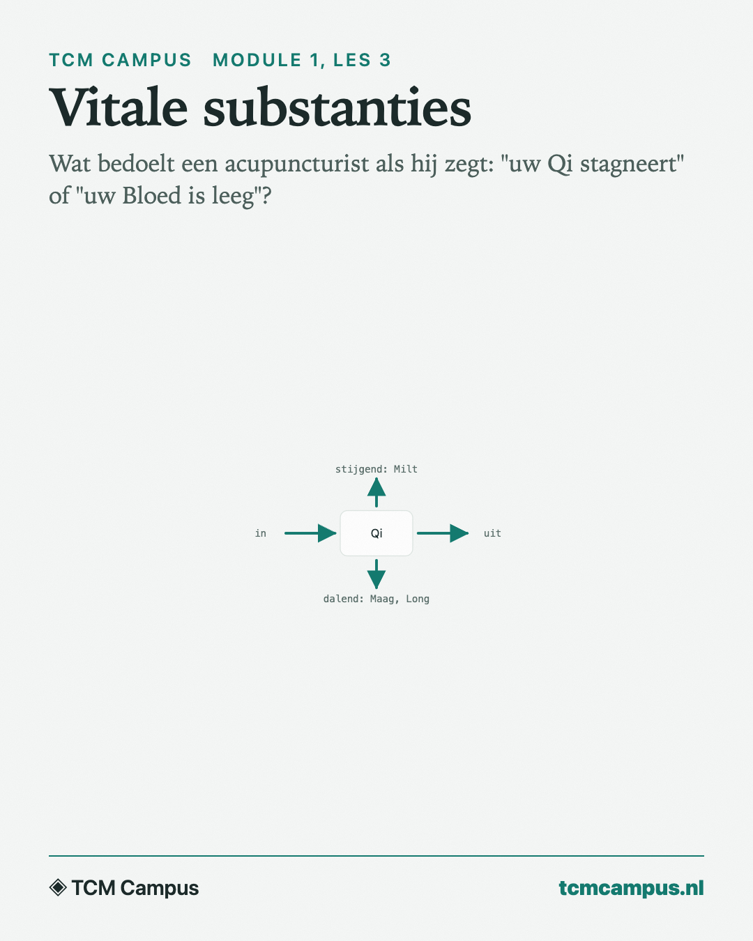 Vitale substanties: Wat bedoelt een acupuncturist als hij zegt: "uw Qi stagneert" of "uw Bloed is leeg"?