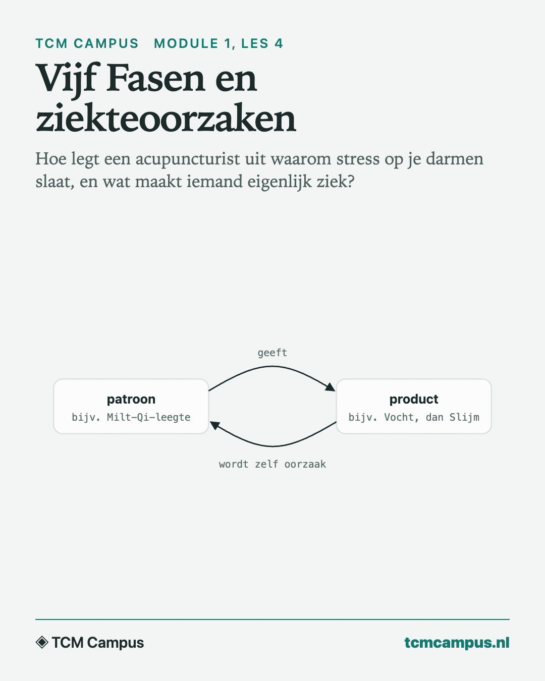 Vijf Fasen en ziekteoorzaken: Hoe legt een acupuncturist uit waarom stress op je darmen slaat, en wat maakt iemand eigenlijk ziek?