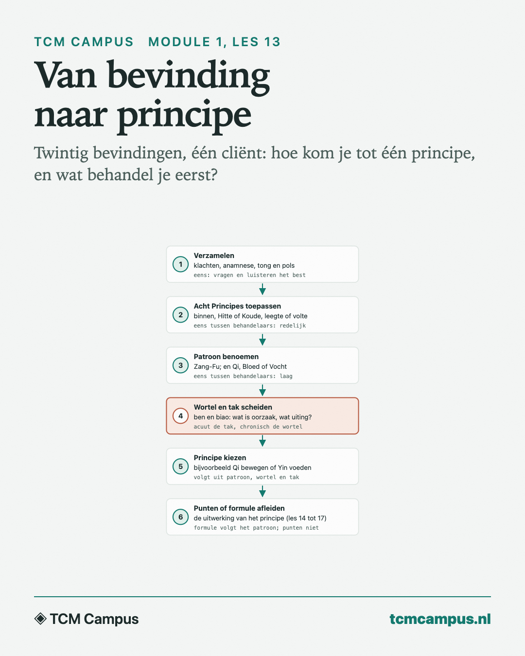 Van bevinding naar principe: Twintig bevindingen, één cliënt: hoe kom je tot één principe, en wat behandel je eerst?