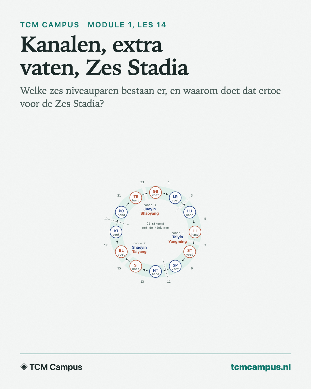 Kanalen, extra vaten, Zes Stadia: Welke zes niveauparen bestaan er, en waarom doet dat ertoe voor de Zes Stadia?