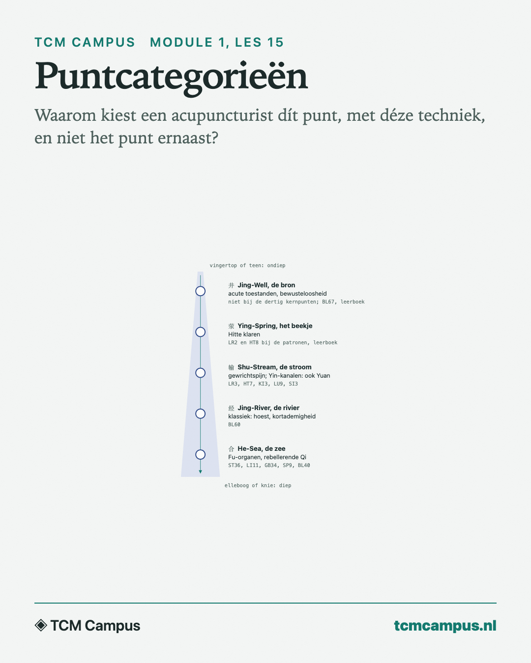 Puntcategorieën: Waarom kiest een acupuncturist dít punt, met déze techniek, en niet het punt ernaast?