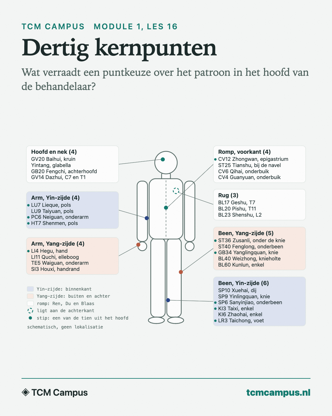 Dertig kernpunten: Wat verraadt een puntkeuze over het patroon in het hoofd van de behandelaar?
