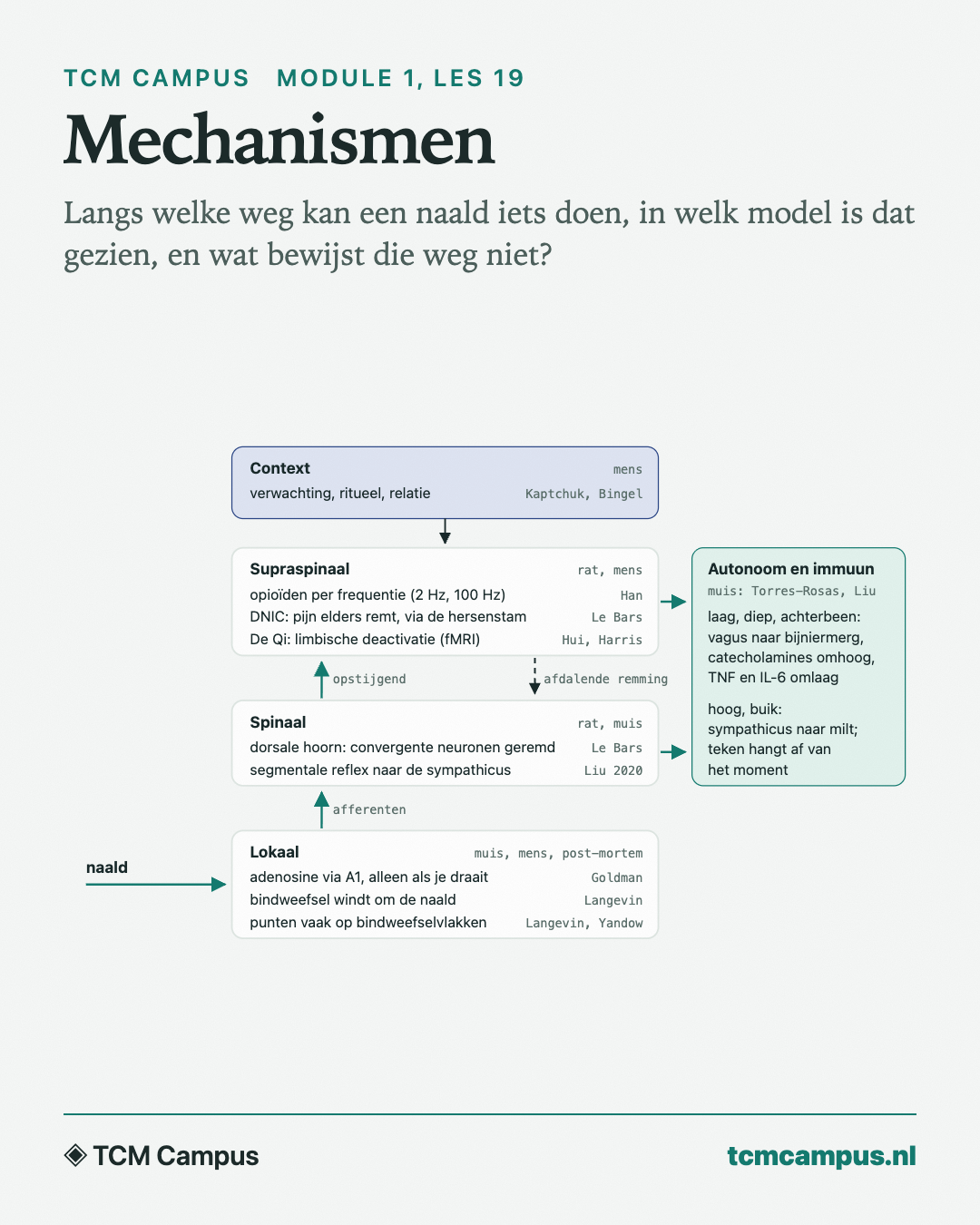 Mechanismen: Langs welke weg kan een naald iets doen, in welk model is dat gezien, en wat bewijst die weg niet?