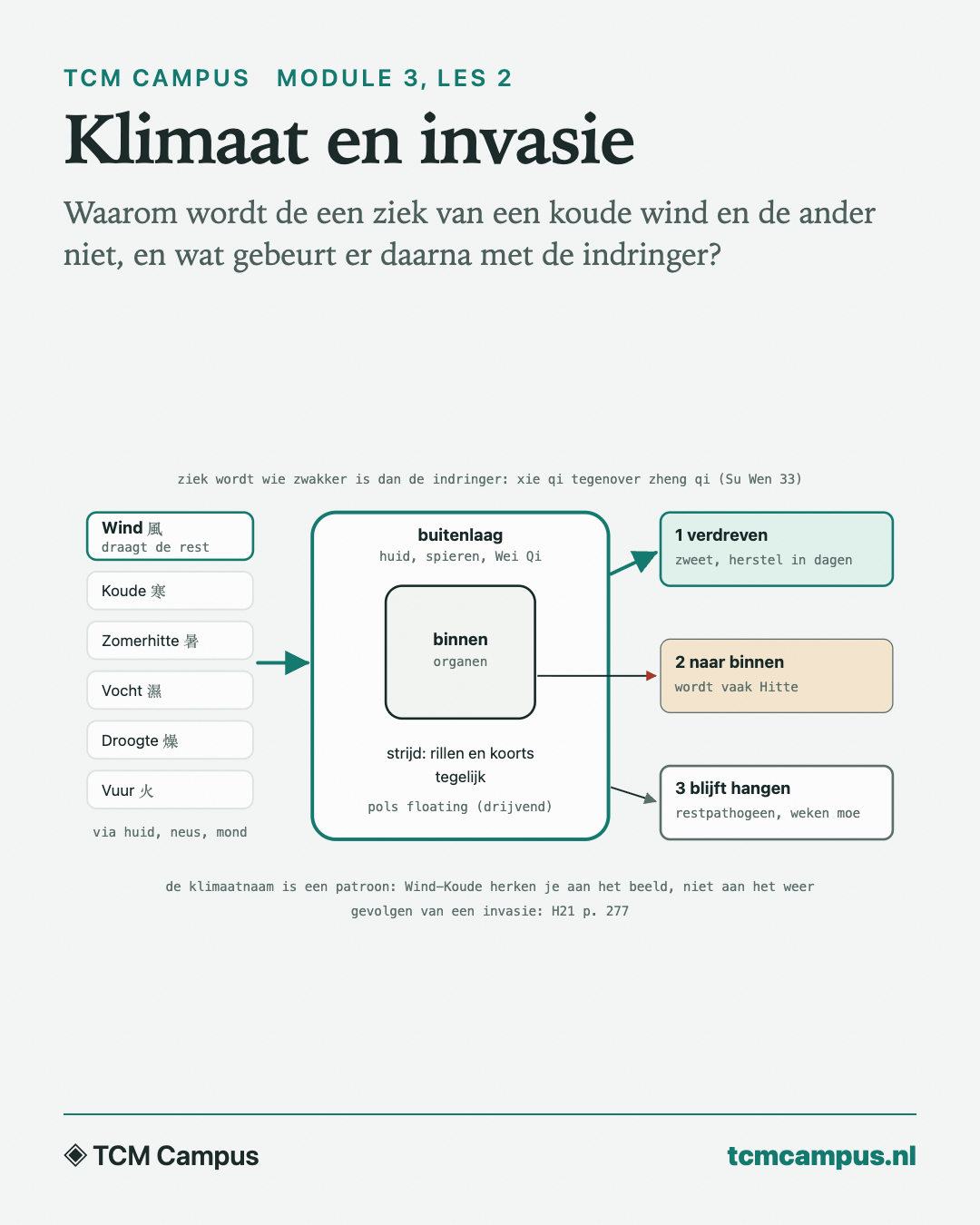 Klimaat en invasie: Waarom wordt de een ziek van een koude wind en de ander niet, en wat gebeurt er daarna met de indringer?