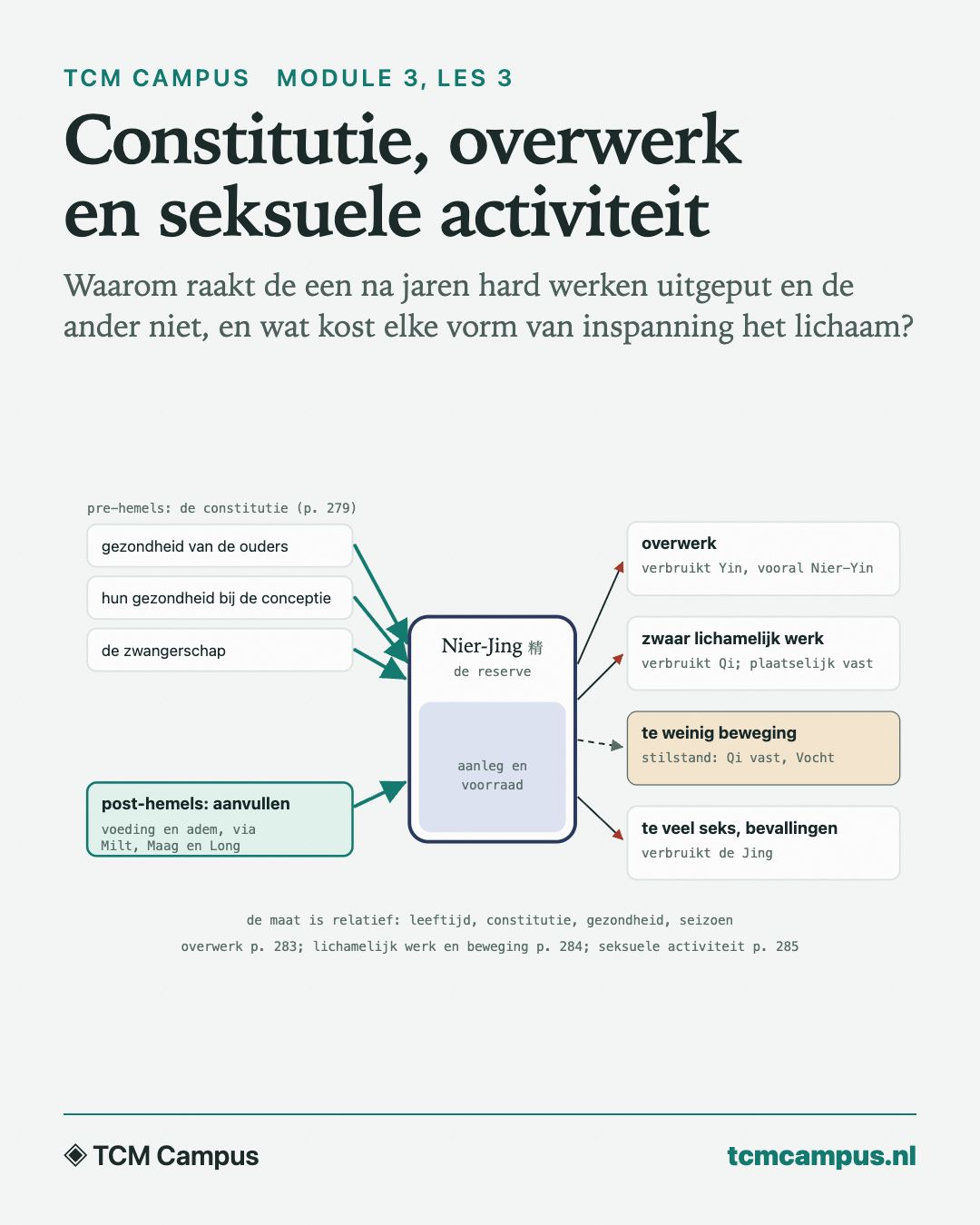 Constitutie, overwerk en seksuele activiteit: Waarom raakt de een na jaren hard werken uitgeput en de ander niet, en wat kost elke vorm van inspanning het lichaam?