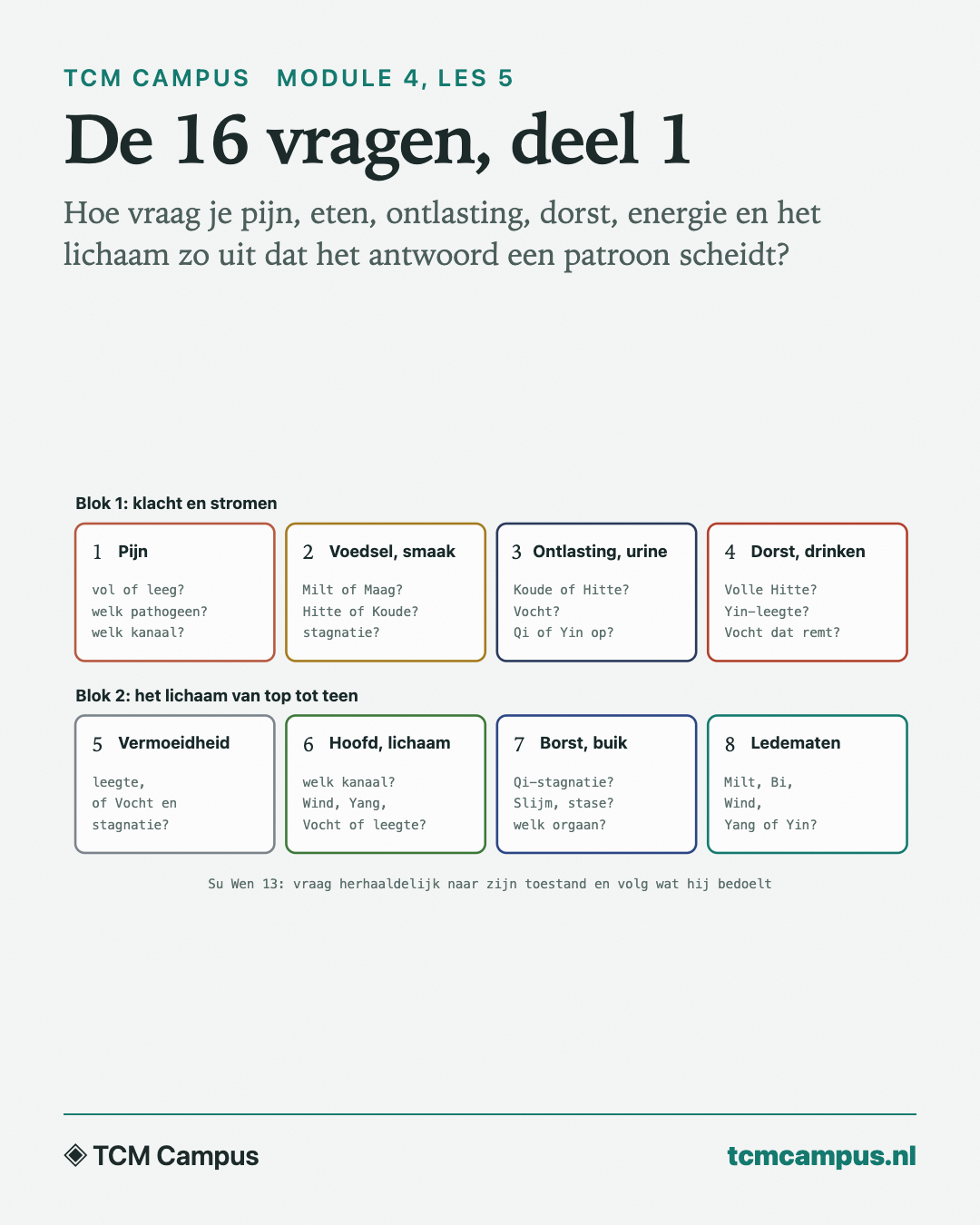 De 16 vragen, deel 1: Hoe vraag je pijn, eten, ontlasting, dorst, energie en het lichaam zo uit dat het antwoord een patroon scheidt?