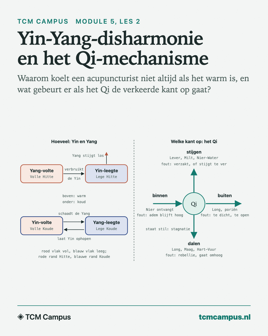 Yin-Yang-disharmonie en het Qi-mechanisme: Waarom koelt een acupuncturist niet altijd als het warm is, en wat gebeurt er als het Qi de verkeerde kant op gaat?
