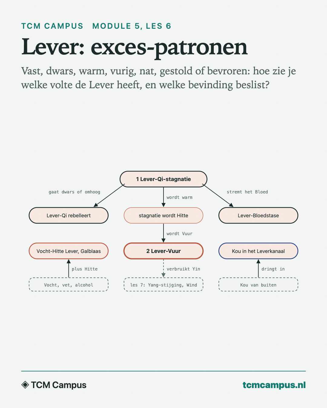 Lever: exces-patronen: Vast, dwars, warm, vurig, nat, gestold of bevroren: hoe zie je welke volte de Lever heeft, en welke bevinding beslist?