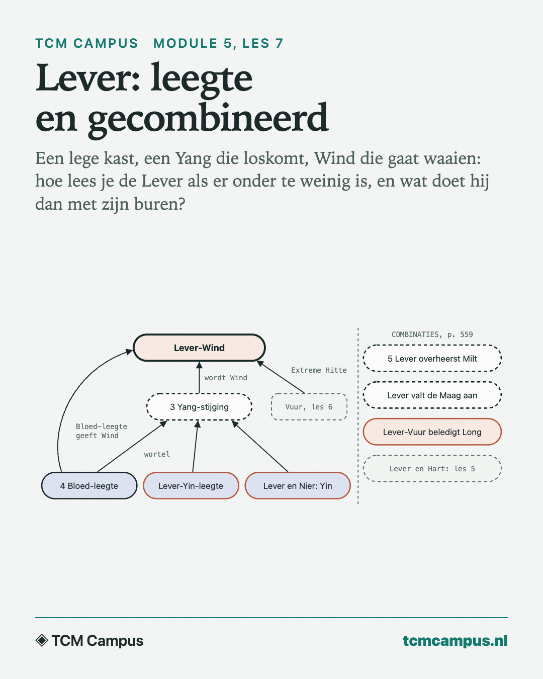 Lever: leegte en gecombineerd: Een lege kast, een Yang die loskomt, Wind die gaat waaien: hoe lees je de Lever als er onder te weinig is, en wat doet hij dan met zijn buren?