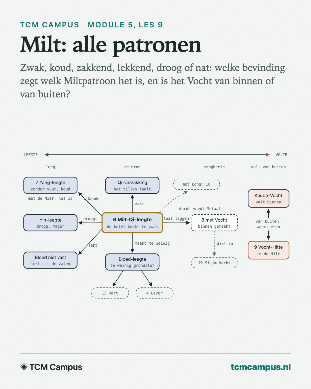 Milt: alle patronen: Zwak, koud, zakkend, lekkend, droog of nat: welke bevinding zegt welk Miltpatroon het is, en is het Vocht van binnen of van buiten?