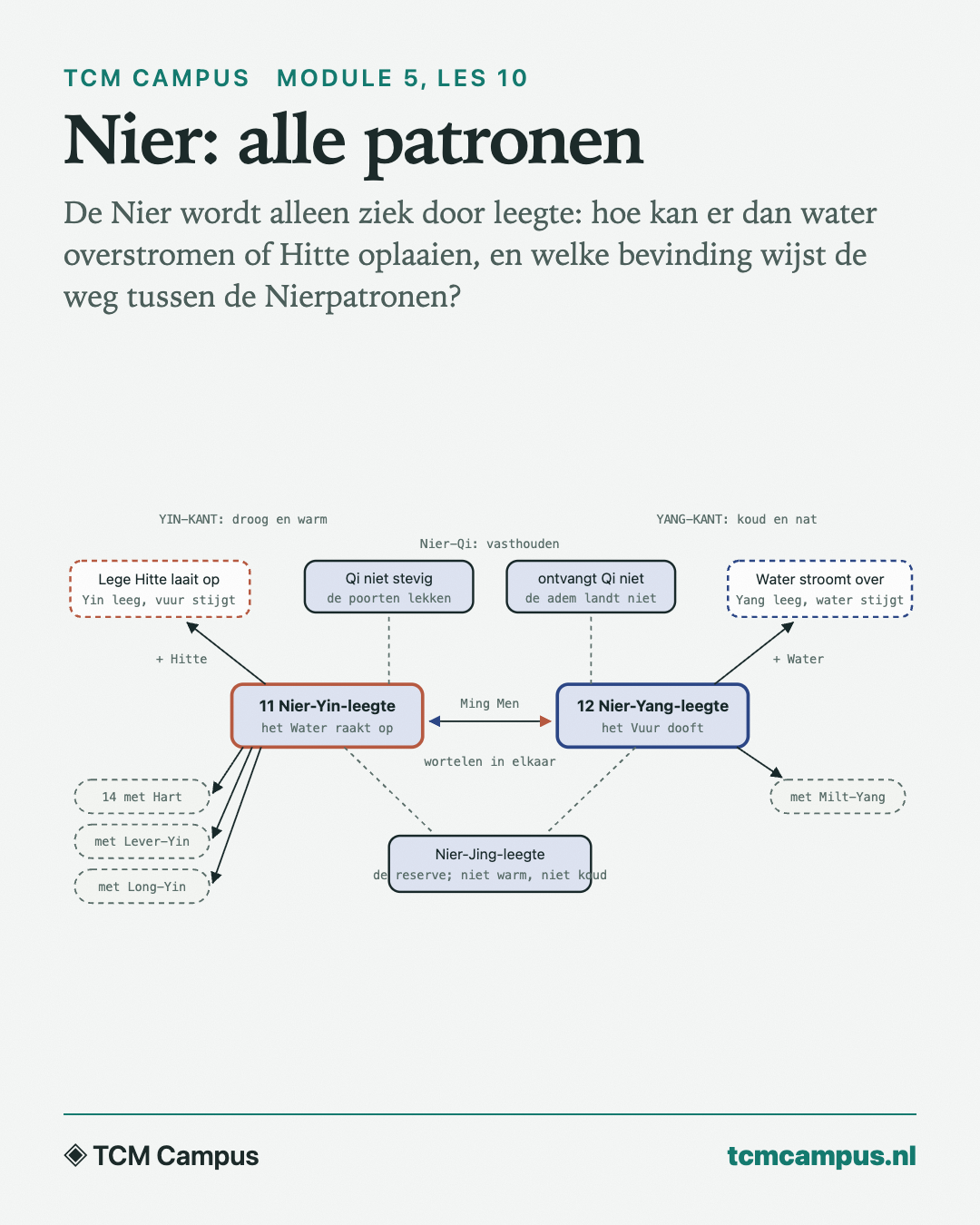 Nier: alle patronen: De Nier wordt alleen ziek door leegte: hoe kan er dan water overstromen of Hitte oplaaien, en welke bevinding wijst de weg tussen de Nierpatronen?