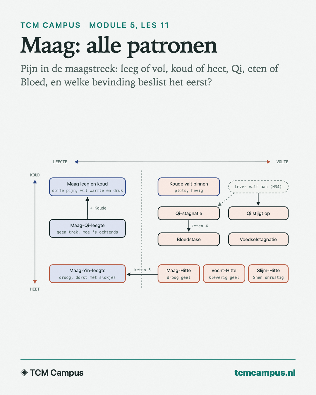Maag: alle patronen: Pijn in de maagstreek: leeg of vol, koud of heet, Qi, eten of Bloed, en welke bevinding beslist het eerst?