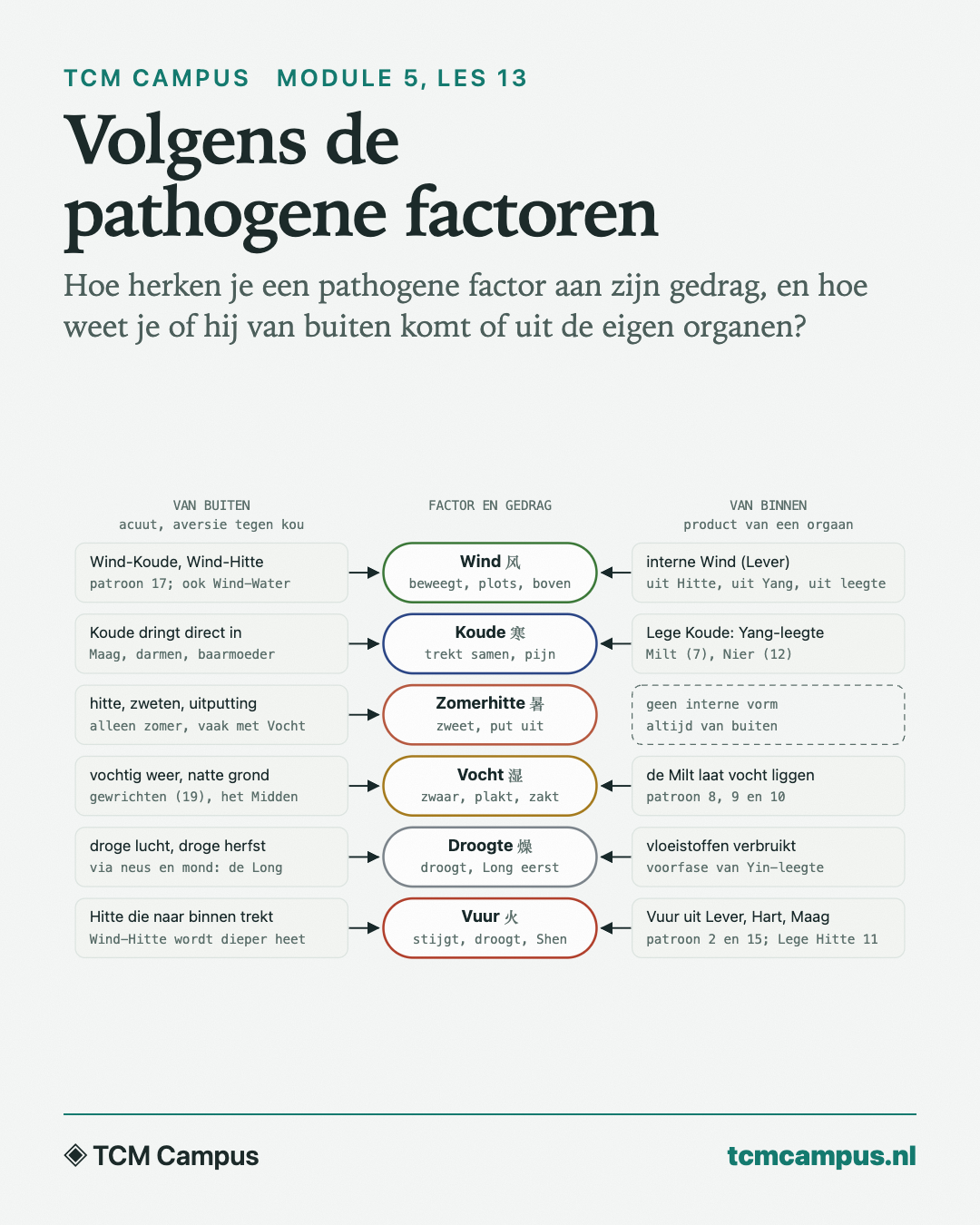 Volgens de pathogene factoren: Hoe herken je een pathogene factor aan zijn gedrag, en hoe weet je of hij van buiten komt of uit de eigen organen?