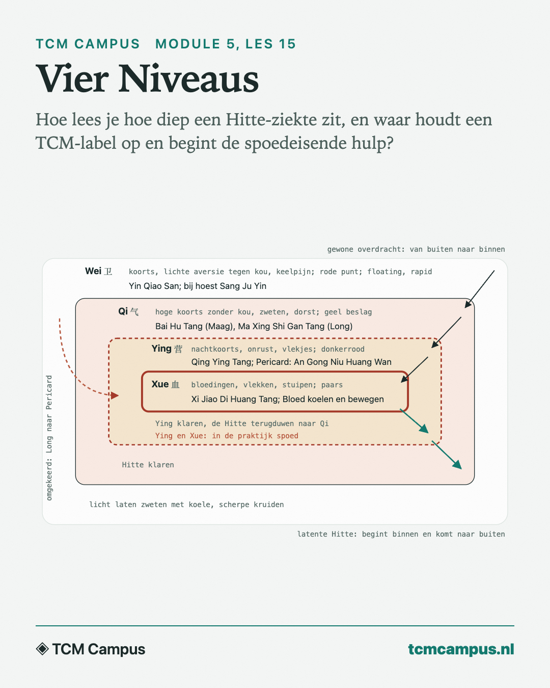 Vier Niveaus: Hoe lees je hoe diep een Hitte-ziekte zit, en waar houdt een TCM-label op en begint de spoedeisende hulp?