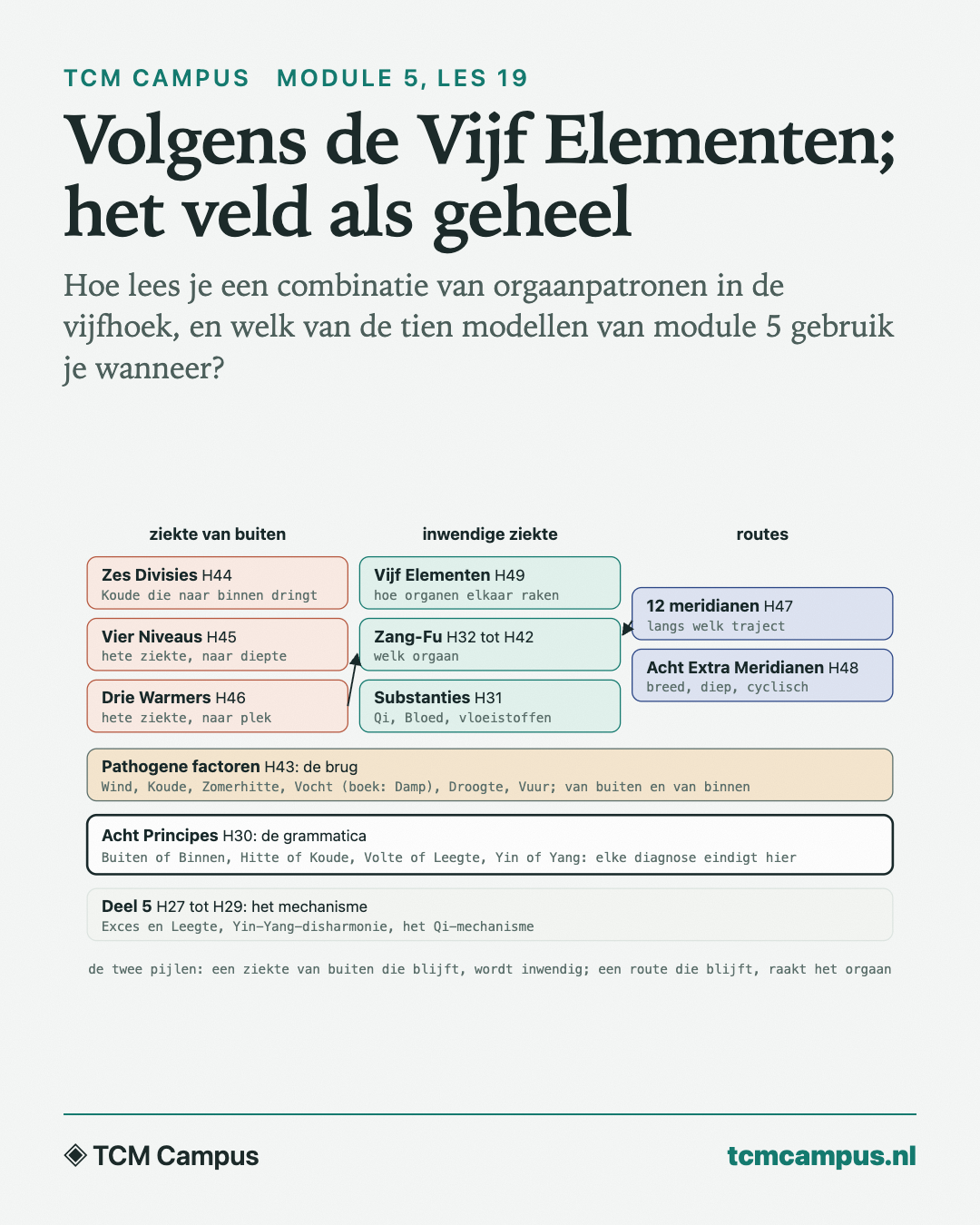 Volgens de Vijf Elementen; het veld als geheel: Hoe lees je een combinatie van orgaanpatronen in de vijfhoek, en welk van de tien modellen van module 5 gebruik je wanneer?