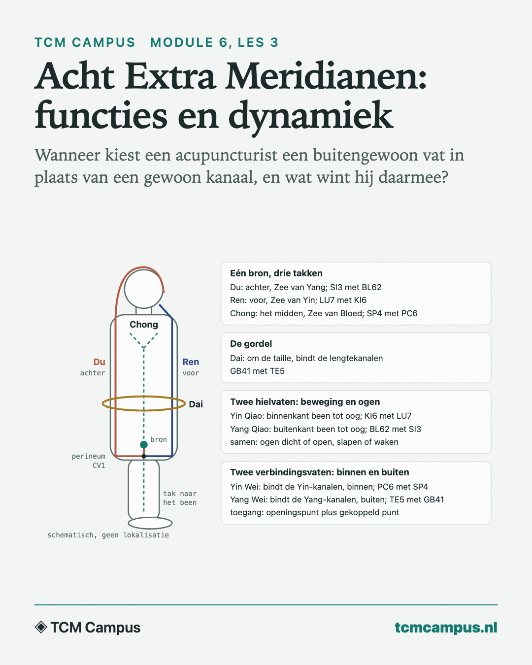 Acht Extra Meridianen: functies en dynamiek: Wanneer kiest een acupuncturist een buitengewoon vat in plaats van een gewoon kanaal, en wat wint hij daarmee?