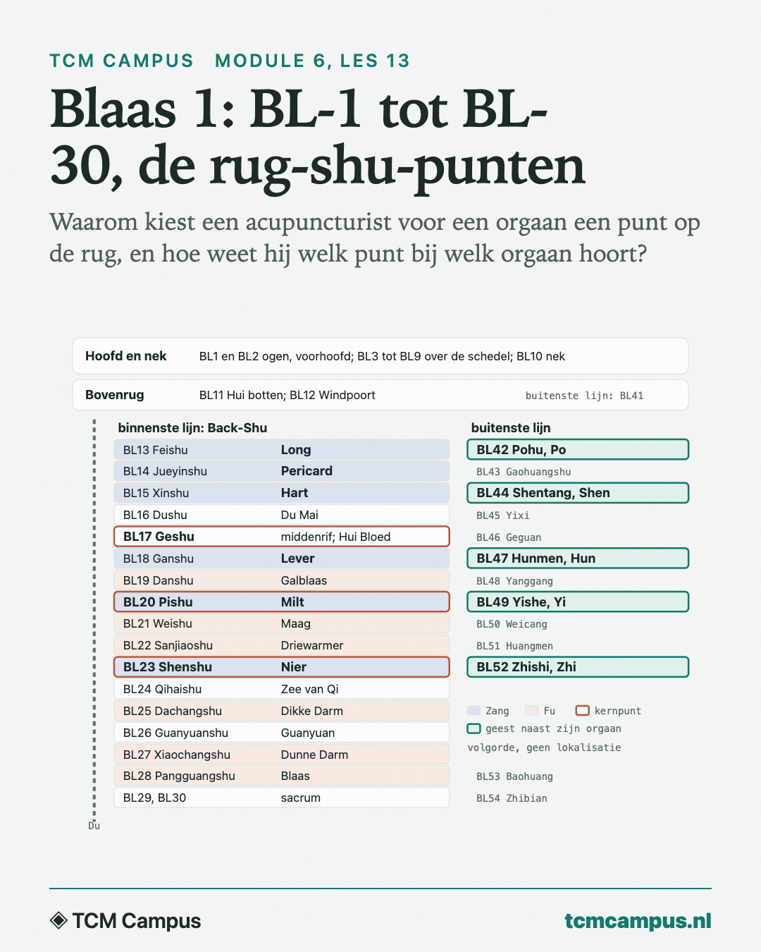 Blaas 1: BL-1 tot BL-30, de rug-shu-punten: Waarom kiest een acupuncturist voor een orgaan een punt op de rug, en hoe weet hij welk punt bij welk orgaan hoort?