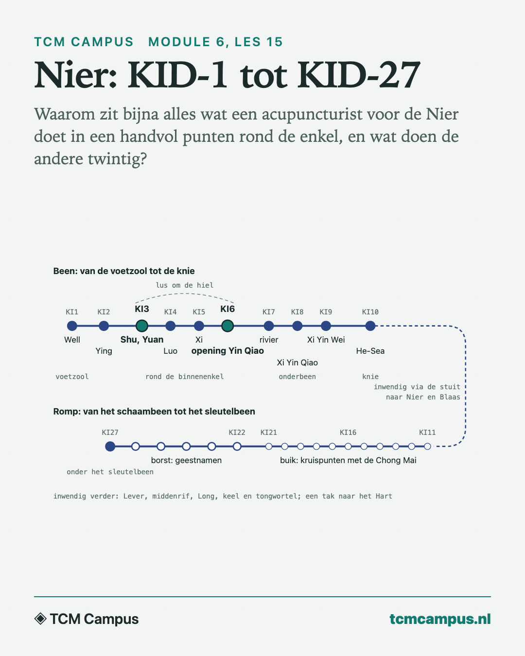 Nier: KID-1 tot KID-27: Waarom zit bijna alles wat een acupuncturist voor de Nier doet in een handvol punten rond de enkel, en wat doen de andere twintig?
