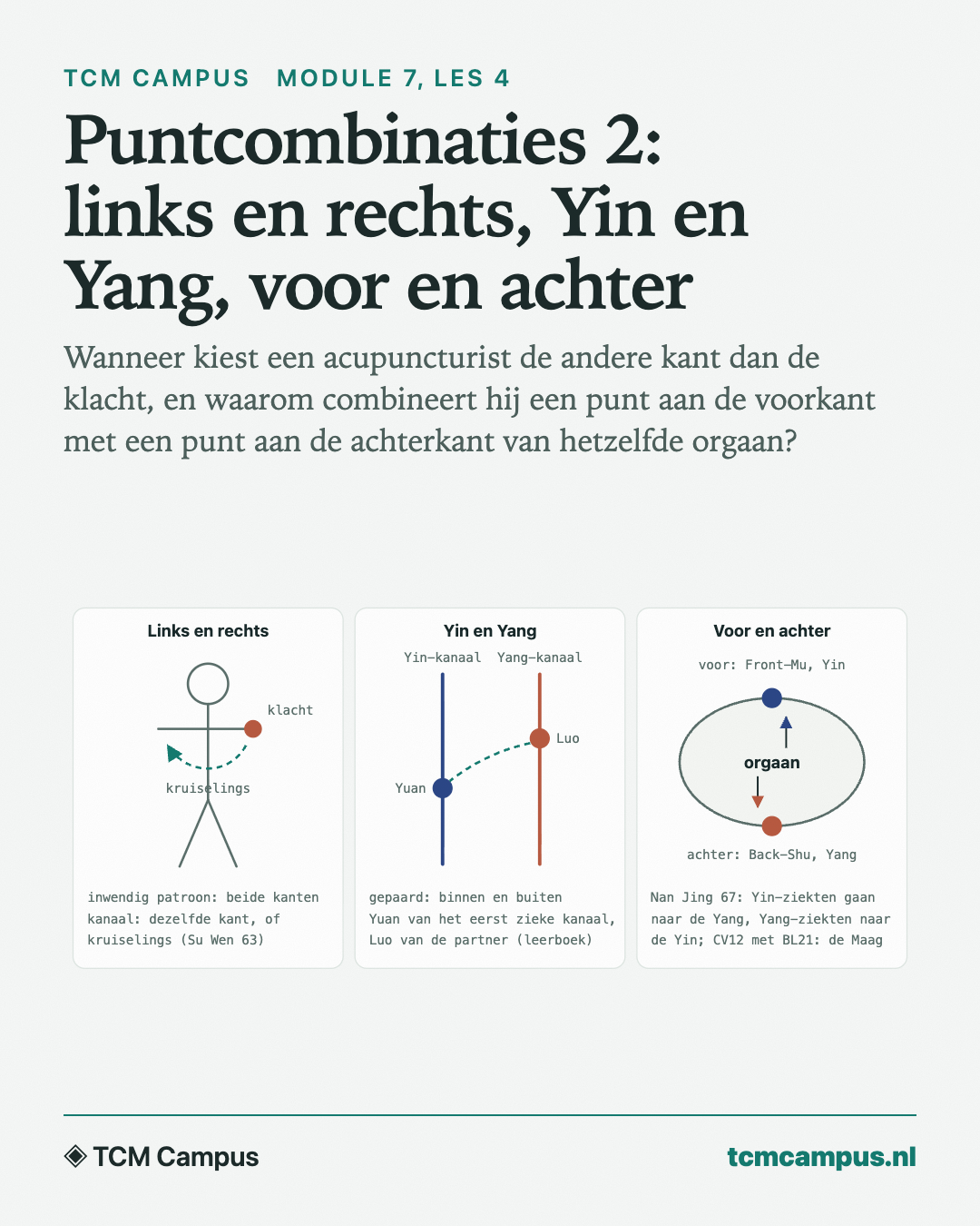 Puntcombinaties 2: links en rechts, Yin en Yang, voor en achter: Wanneer kiest een acupuncturist de andere kant dan de klacht, en waarom combineert hij een punt aan de voorkant met een punt aan de achterkant van hetzelfde orgaan?
