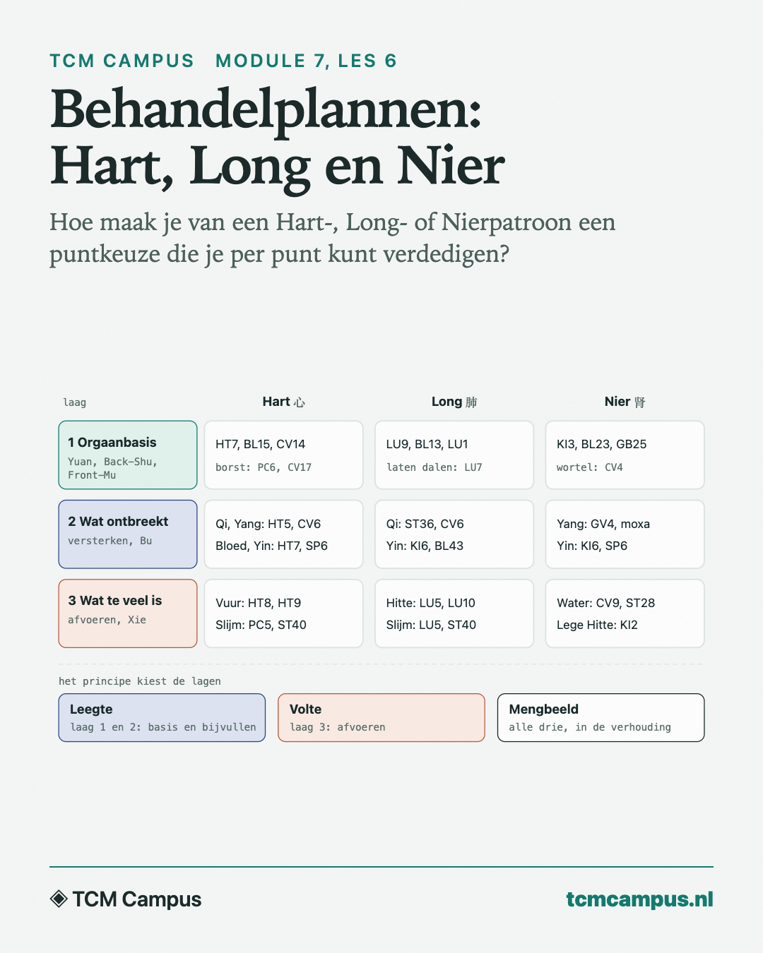 Behandelplannen: Hart, Long en Nier: Hoe maak je van een Hart-, Long- of Nierpatroon een puntkeuze die je per punt kunt verdedigen?