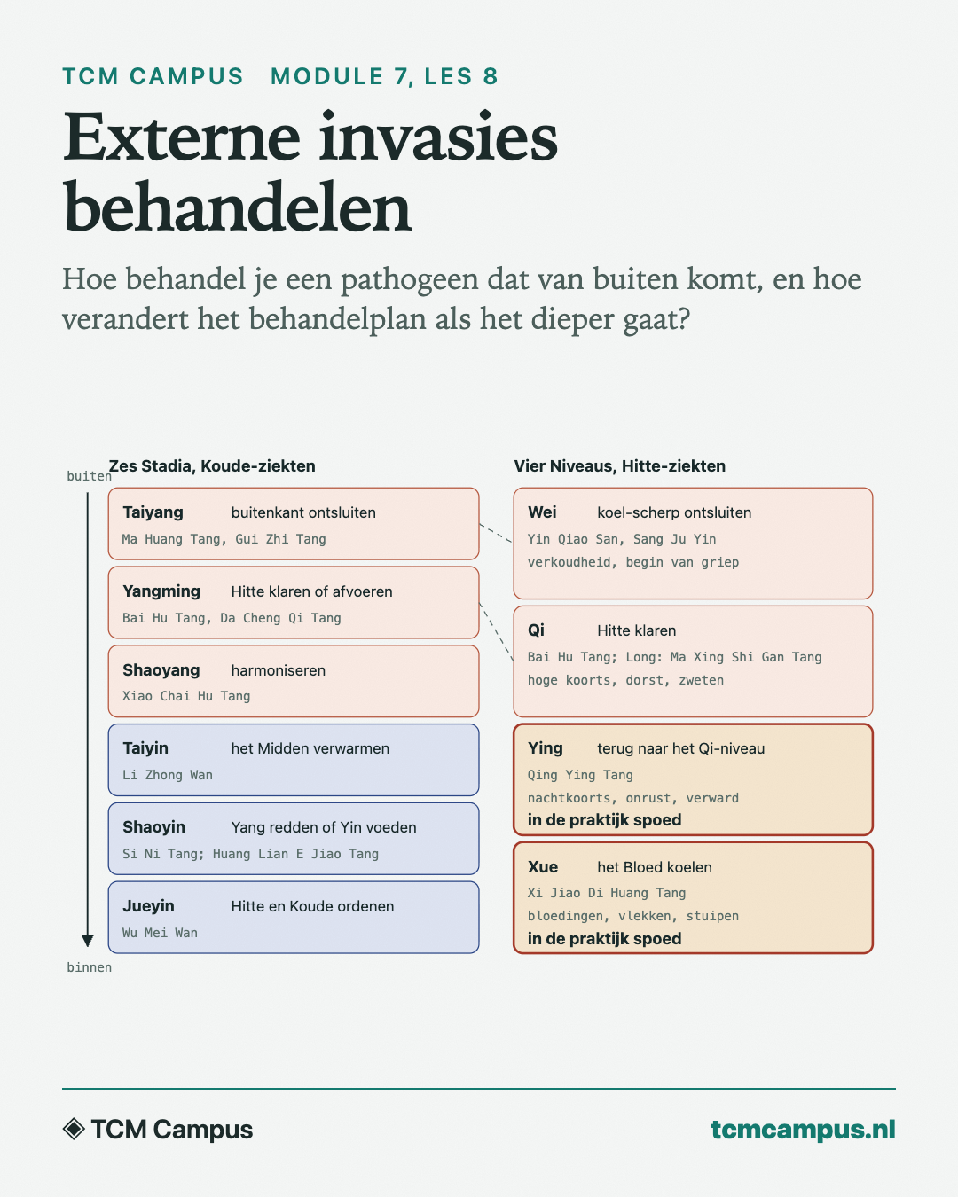 Externe invasies behandelen: Hoe behandel je een pathogeen dat van buiten komt, en hoe verandert het behandelplan als het dieper gaat?