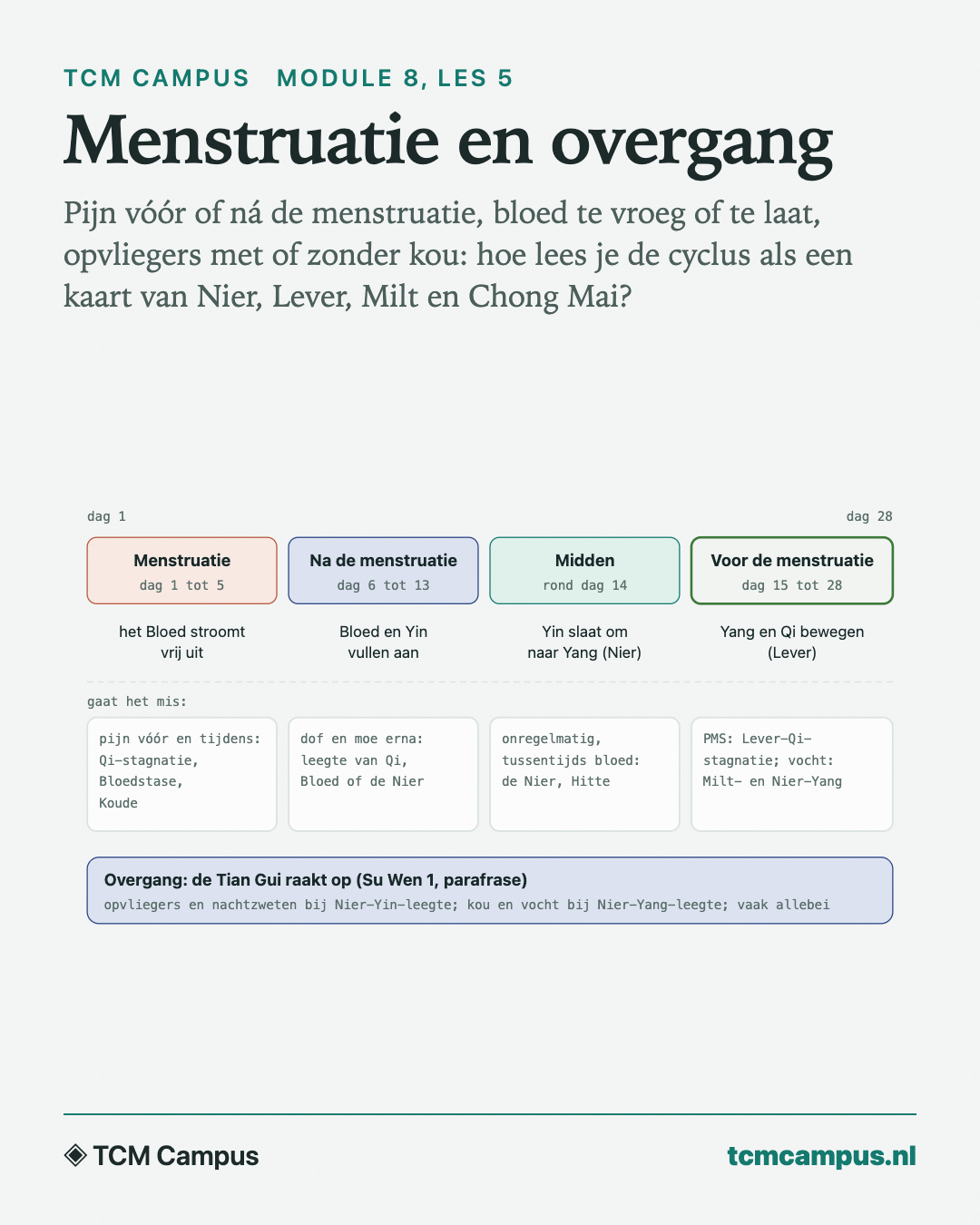 Menstruatie en overgang: Pijn vóór of ná de menstruatie, bloed te vroeg of te laat, opvliegers met of zonder kou: hoe lees je de cyclus als een kaart van Nier, Lever, Milt en Chong Mai?