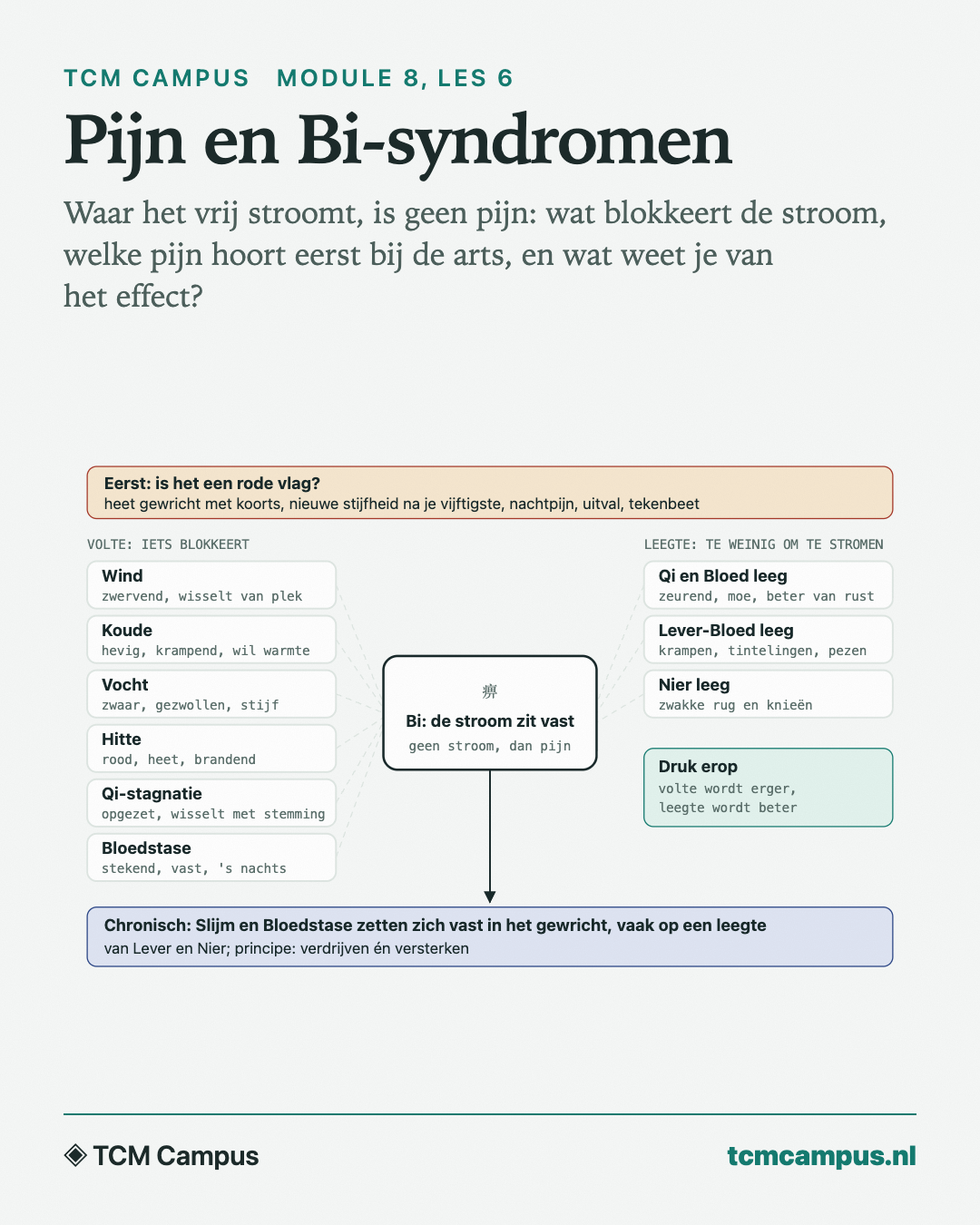 Pijn en Bi-syndromen: Waar het vrij stroomt, is geen pijn: wat blokkeert de stroom, welke pijn hoort eerst bij de arts, en wat weet je van het effect?
