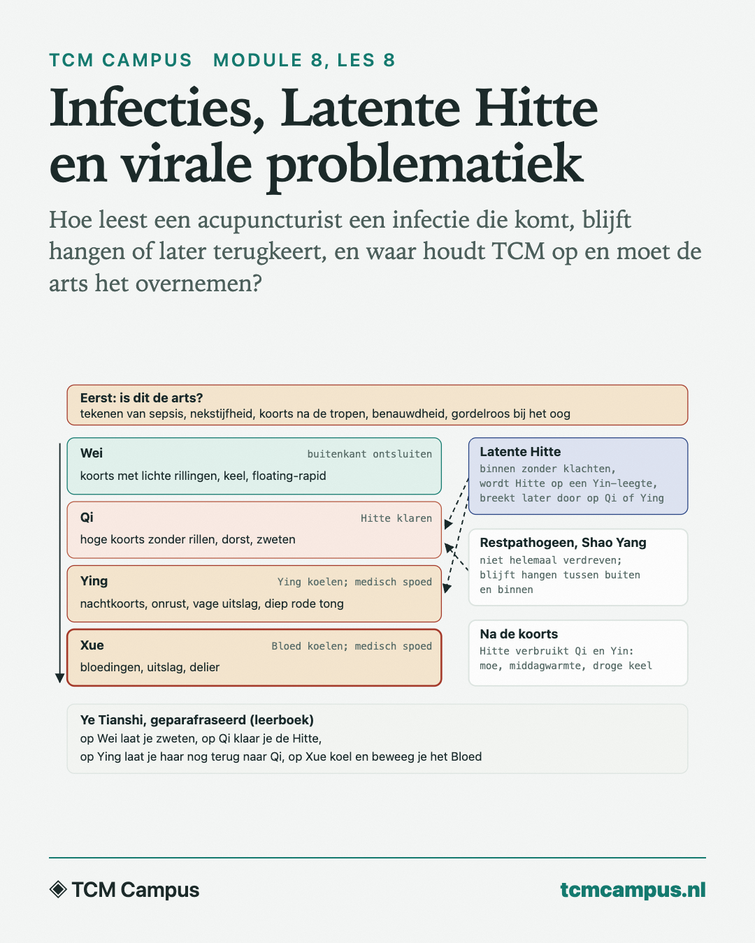 Infecties, Latente Hitte en virale problematiek: Hoe leest een acupuncturist een infectie die komt, blijft hangen of later terugkeert, en waar houdt TCM op en moet de arts het overnemen?